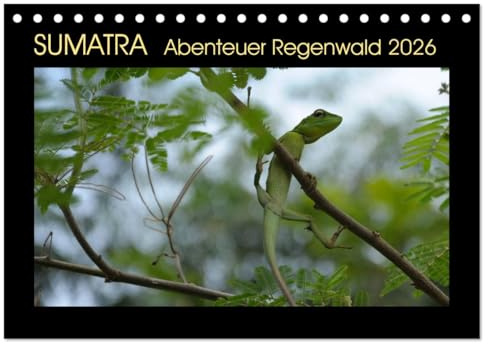 SUMATRA Abenteuer Regenwald (Tischkalender 2026 DIN A5 quer), CALVENDO Monatskalender: Sumatras Regenwälder in ihrer Schönheit und Vielfalt (CALVENDO Natur)