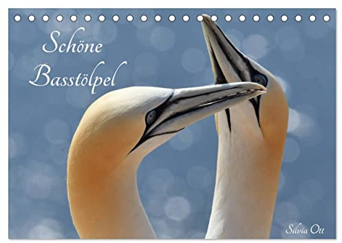 Schöne Basstölpel (Tischkalender 2026 DIN A5 quer), CALVENDO Monatskalender: Wunderbare Aufnahmen des Basstölpels (CALVENDO Tiere)