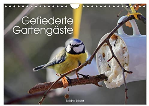 Gefiederte Gartengäste (Wandkalender 2026 DIN A4 quer), CALVENDO Monatskalender: Vögel, munteres Gezwitscher im Garten (CALVENDO Tiere)