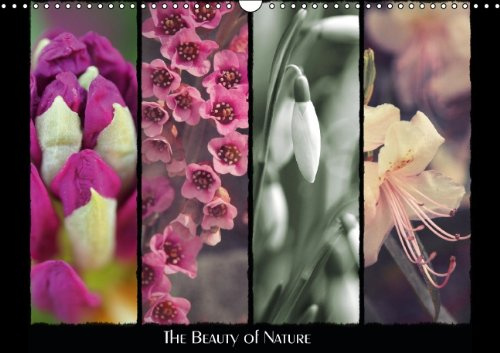 The Beauty of Nature (UK Version) (Wall Calendar 2014 DIN A3 Landscape): Take a look at the beauty of the colourful world surrounding us (Month Calendar, 14 pages)