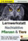 Lernwerkstatt Nachtaktive Pflanzen und Tiere: Was in der Natur passiert, wenn wir im Bett liegen: Leben im Dunkeln: Anpassungen, Strategien und Lebensweise
