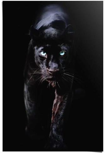 REINDERS Poster, Black Panther, Schlafzimmer, Poster, Wanddeko, Room Decor, 150 gr. glänzend Bilderdruckpapier, Schwarz, 91,5x61cm