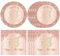 40PCS Rose Gold 13th Birthday Decorations for Girls - Sweet Disposable Tableware Set With Plates and Napkins for Official Teenager Gifts