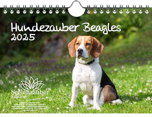 Hundezauber Beagles DIN A5 Kalender für 2025 Welpen und Hunde - Seelenzauber