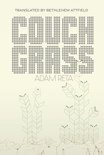 Fidessa Literary