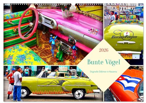 Bunte Vögel - Originelle Oldtimer in Havanna (Wandkalender 2026 DIN A2 quer), CALVENDO Monatskalender: Kunstvoll verzierte Oldtimer auf den Straßen Kubas (CALVENDO Mobilitaet)