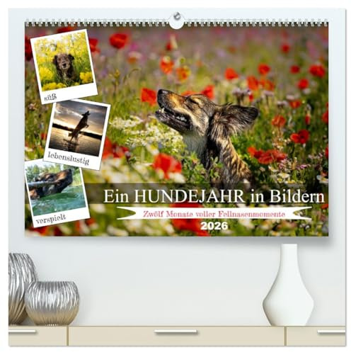 Ein Hundejahr in Bildern (hochwertiger Premium Wandkalender 2026 DIN A2 quer), Kunstdruck in Hochglanz: Erleben Sie die Jahreszeiten aus der ... in zwölf fesselnden Fotos. (CALVENDO Tiere)