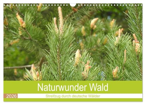 Naturwunder Wald (Wandkalender 2026 DIN A3 quer), CALVENDO Monatskalender: Der Wald, ein unbezahlbares Ökosystem. (CALVENDO Natur)