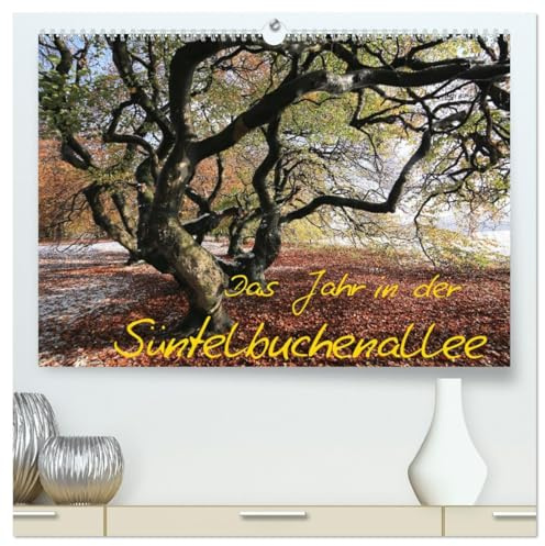 Das Jahr in der Süntelbuchenallee (hochwertiger Premium Wandkalender 2026 DIN A2 quer), Kunstdruck in Hochglanz: Fotos von der jahreszeitlichen ... von Bad Nenndorf (CALVENDO Natur)