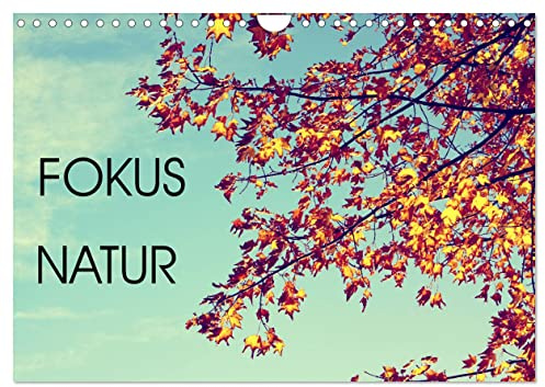 Focus Natur (Wandkalender 2026 DIN A4 quer), CALVENDO Monatskalender (CALVENDO Natur)