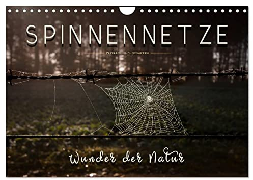 Spinnennetze - Wunder der Natur (Wandkalender 2026 DIN A4 quer), CALVENDO Monatskalender: Technische Meisterleistungen der Spinnen in ausdruckstarken Bildern. (CALVENDO Tiere)