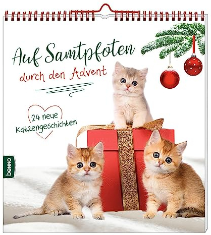 Auf Samtpfoten durch den Advent: 24 neue Katzengeschichten