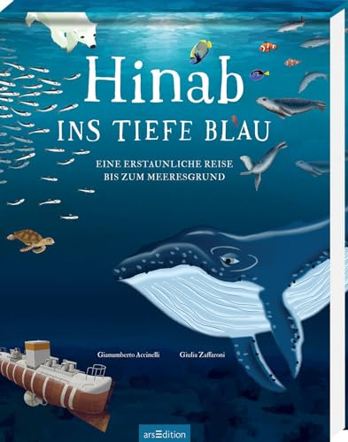 Hinab ins tiefe Blau: Eine erstaunliche Reise bis zum Meeresgrund | Vertikaler Lesespaß: Seite für Seite immer tiefer ins Meer | ab 8 Jahren (Hinab & hinauf)