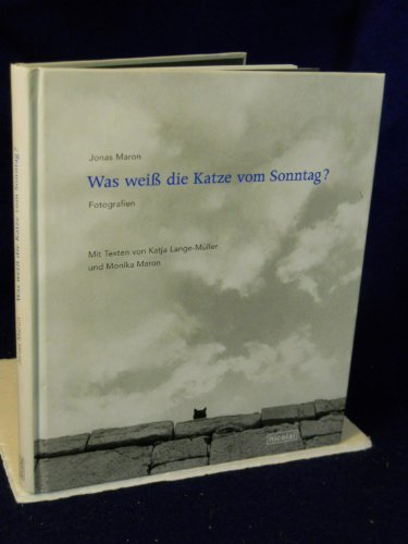 Was weiss die Katze vom Sonntag ?