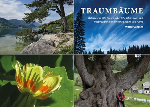 Traumbäume: Österreichs alte Riesen, Überlebenskünstler und Naturdenkmäler zwischen Alpen und Adria
