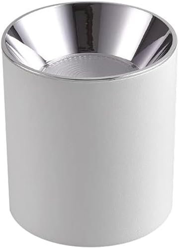 HSTBLEOO Foco de 9 W montado en la superficie, iluminación de imagen de galería, isla de cocina, focos direccionales para sala de estar, lámpara de techo de aluminio blanco para interiores (color: