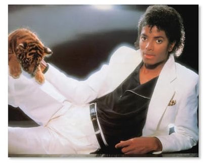 HAIDU Diamantmalerei Superstar Sänger Michael Jackson Kreuzstich Tiger Strass Stickerei Kunststoff Craftsfull Diamond Painting(Round Diamond) 50x50cm-117