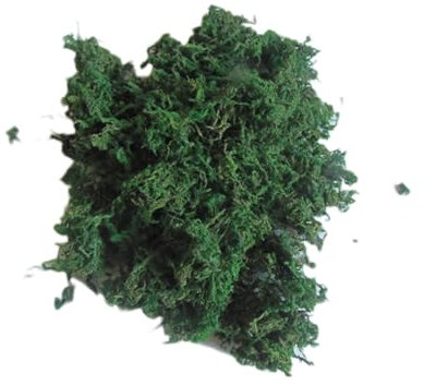 WOFASHPURET 3packungen Getrocknetes Moos Dekorative Grunpflanzen Fuer Terrassendekoration Packung Selbstgemachte Dioramenmodelle Zuhause Büro Garten