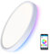 Warmiehomy RGB LED Ceiling Light Dimmable, Smart Ceiling Light with Bluetooth Speaker,APP Control,24W,Flush Ceiling Lamp for Living Room,Bedroom,3000-6000K,Round,Ø30CM