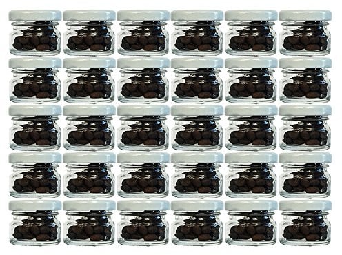 hocz 30er Set Sturzgläser Mini Gläser | Füllmenge 30 ml | Deckelfarbe Weiß | To 43 Rundgläser Marmeladengläser Obstgläser Einweckgläser Honig Gläser Einmachgläser Probiergläser, Imker