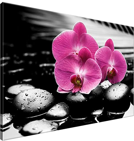Estika Leinwand bilder - Rose Orchideen, Schwarz weiß Hintergrund - 120x80 cm, 1 teilige kunstdruck - Wandbilder wohnzimmer, schlafzimmer, Moderne wanddeko, Bild auf leinwand - 1380A_1B