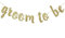 Banner für Bräutigam, goldfarben, glitzernd, Dekoration für Brautparty, Hochzeit, Junggesellinnenabschied, Party-Dekorationen