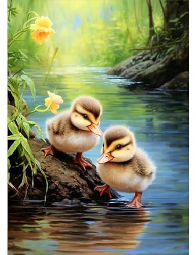 CEOVR Diamond Painting Kit Erwachsene Tier,Diamond-painting Enten,30x40 cm Diamant Paintings Kit,5D DIY Diamond Painting Bilder Set Blumen,e