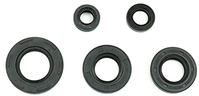 Wellendichtring für TS50ER / GT 50 / OR 50/RM50 /ZR50/PV50 Simmerring Dichtring