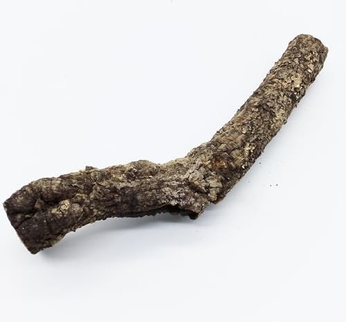 XXL Kork-AST | 70-90 cm lang | Durchmesser ca. 6-8 cm, AST von der Korkeiche | Naturkork-Rinde für Terrarium | Jeder AST EIN Unikat! Made in Portugal