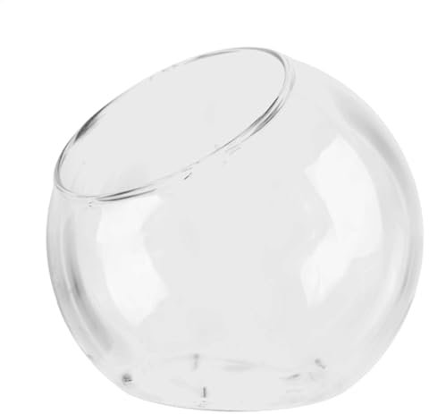 Plant Terrarium, Glass Round Terrarium Fish Bowl, 12cm Slant Cut Planter Pot Clear Glass Vase Succulent Holder, Centerpiece Terrarium Jar, Glass Home Decoration Display Centerpiece for Succulent