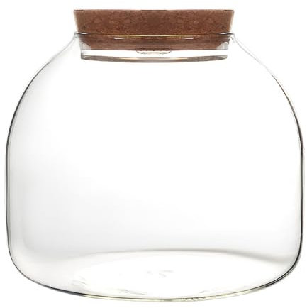 Terrario in vetro per piante, terrario per piante da 1600 ml con coperchio in sughero, vaso per terrario con apertura per mini piante grasse, creazione di paesaggi, esposizioni floreali, collez