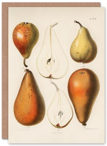 Artery8 Samuel Berghuis Art Card Fresh Pears Halved Fruit
