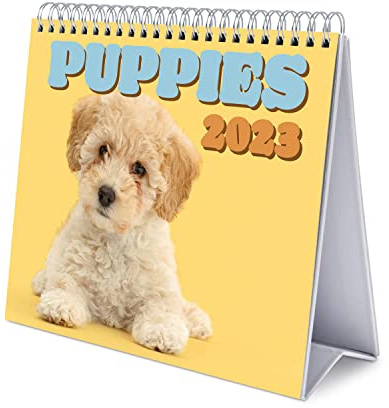 Grupo Erik Tischkalender 2023 - Hunde Kalender 2023 Tischkalender - Tischkalender 2023 Quer Format - Tischkalender 2023 zum Aufstellen - FSC zertifiziert - Offizielle Lizenz