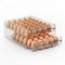 MSHOMELY 60 Egg Container for Refrigerator, Egg Holder, Stackable Egg Storage, BPA Free, Clear, Rectangular, Transparent