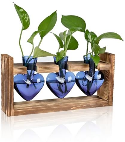 Terrarium pour plantes - Cadeau d'anniversaire unique pour femme - Jardinière murale pour intérieur - Station de propagation hydroponique - Vase en verre en forme de cœur avec support en bois