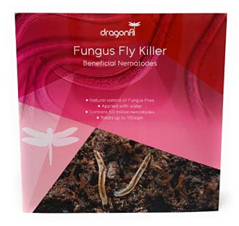 Dragonfli Sciarid/Fungus Fly Killer Nematodes 100 Square Metre Pack