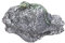 stoneandstyle Steinfigur Gecko Eidechse auf Stein frostfest Steinguss