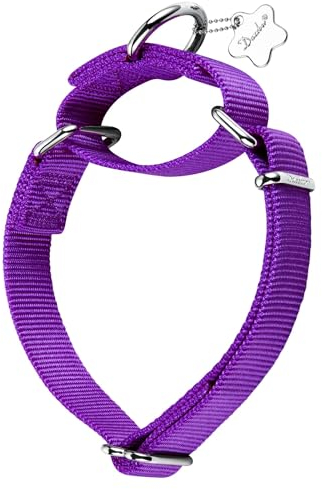 Dazzber Martingal Halsbänder für Hunde, Verstellbar Langlebig Kein Escape Stop Ziehen Hundehalsband Nylon für Große/Mittlere/Kleine Hunde (L(42cm-66cm), Dunkel Orchidee)