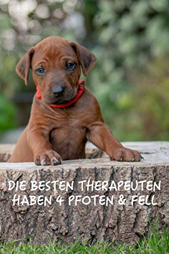 Rhodesian Ridgeback Noitzbuch: Undatierter RR Jahresplaner und Hunde Terminkalender als Taschenkalender und Tagebuch mit Futterplan und Impfplan für ... & Fell Kalender Geschenk für Hundebesitzer.