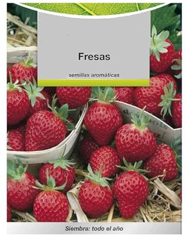 Semillas de Fresas Naturales para Sembrar en Casa