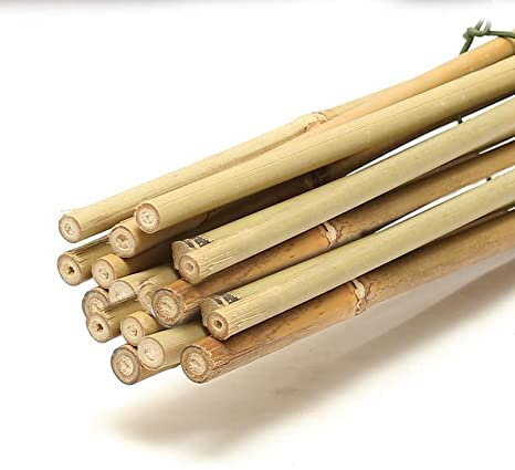UK GROW Premium 3ft Bamboo canes - x25 Bamboo Sticks - Available in 3ft 4ft and 5ft Sizes and Multi-Pack Options (3ft Bamboo Canes, 25x Sticks)