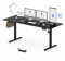 FLEXISPOT 200 * 80cm Electric Standing Desk Adjustable Standing Desk Sit Stand Up Desk Computer Desk with Hook Memory Function for Office and Home (Black+Black)