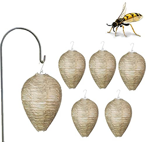 AGZHU 6 Stück Wespennest, Lockvogel, natürliche Wespennest, umweltfreundlich, zum Aufhängen, Wespenabwehr, Lockvogel, Abwehrmittel für Wespen, Hornetten, gelbe Jacken, PMS Papierköder, Wespen