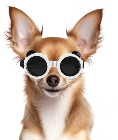 NAMSAN Hund Brille für Kleine Hunde Hunde Sonnenbrille mit Rundem Rahmen Windschutzbrille UV-geschützt Schutzbrille für Kleine Hunde - Weiß