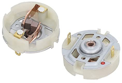 Haosie Escobillas Motor Electrico, 2 Uds Portaescobillas de Carbono de Motor RS550, Escobillas de Carbon del Motor Para taladros Y Atornilladores Eléctricos