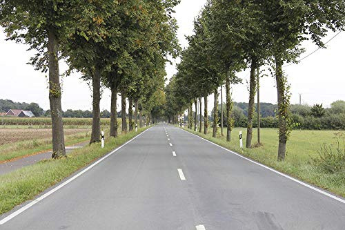 Kiepenkerl Straßenbegleitgrün 10 kg