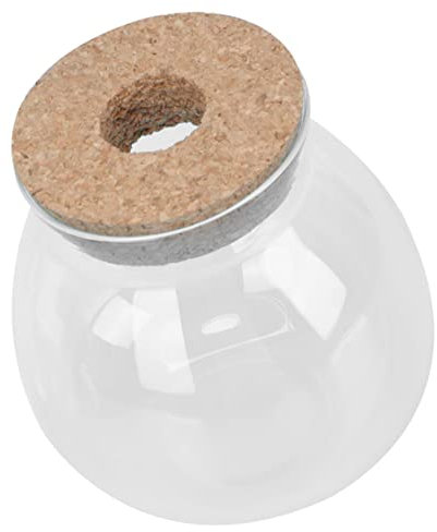 FOMIYES Glasterrarien für Pflanzen Aquarium Mini Aquarium Spotlight Pflanzenterrarien Container