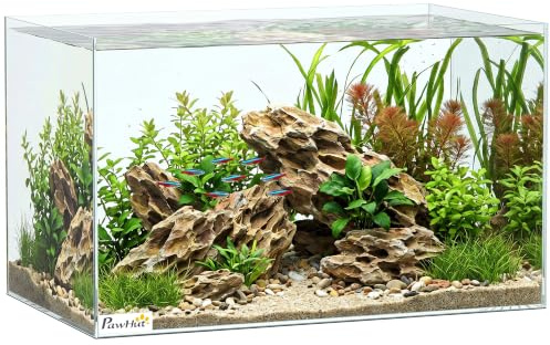 PawHut Aquarium 43L Tapis Protection Poissons 50 x 30 x 30 cm Transparent | pour Aquascaping et DIY, Aquarium en Verre Trempé, pour Crevettes, Tortues, Eau Douce/Salée