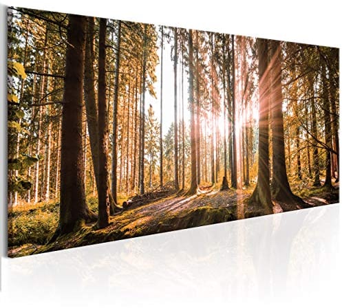 decomonkey Bilder Wald Herbst 150x50 cm XXL 1 Teilig Leinwandbilder Bild auf Leinwand Vlies Wandbild Kunstdruck Wanddeko Wand Wohnzimmer Wanddekoration Deko Natur Landschaft