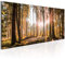 decomonkey Bilder Wald Herbst 150x50 cm XXL 1 Teilig Leinwandbilder Bild auf Leinwand Vlies Wandbild Kunstdruck Wanddeko Wand Wohnzimmer Wanddekoration Deko Natur Landschaft